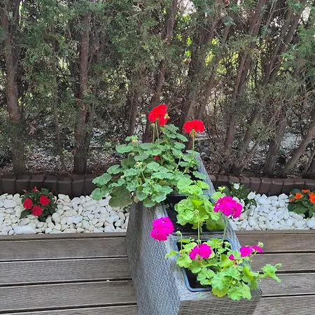 Harmony Dream Island Apartmán Sluneční pobřeží